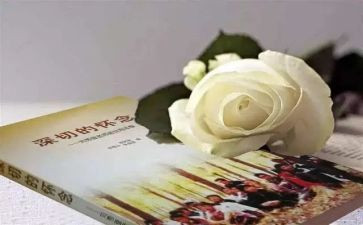 怀念作文800作文优质5篇