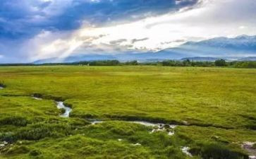 环境调查的作文模板8篇