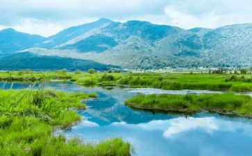 环境问题作文6篇