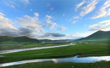 环境调查的作文优秀7篇