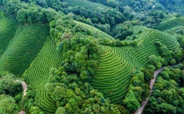 调查报告调查环境范文8篇