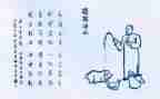 护生的自我鉴定模板7篇