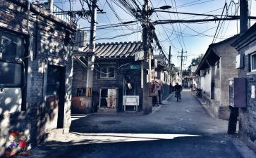 将军胡同,读后感5篇