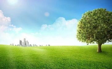 户外广告位租赁合同精选6篇