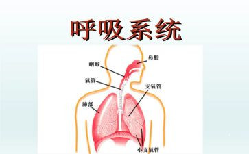 呼吸科演讲稿7篇