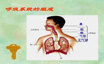 实习呼吸内科护士心得5篇
