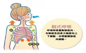 呼吸科实习护士实习心得6篇