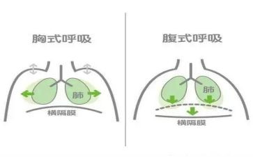 呼吸科实习护士心得8篇