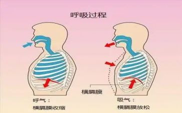 呼吸科护士工作总结范文5篇