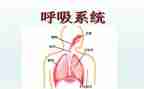 呼吸科演讲稿7篇