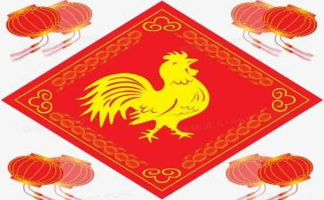 母鸡的爱作文5篇