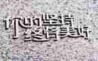 我在坚持作文800字作文7篇