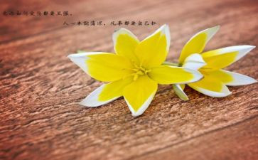 《将心比心》教案8篇