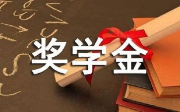 奖学金个人总结6篇