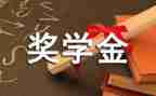 奖学金个人总结6篇