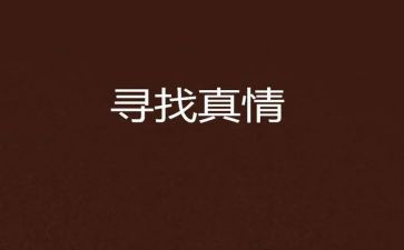 真情类作文模板6篇