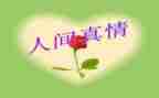 真情作文500字通用5篇