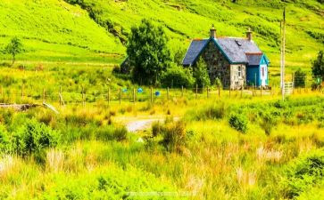 见闻作文600字通用8篇