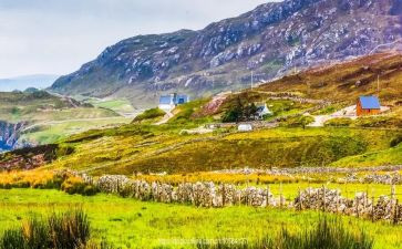 见闻作文400字7篇