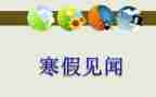 国庆见闻的作文600字优质5篇