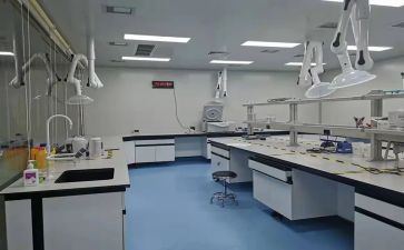 检验室的工作总结模板8篇