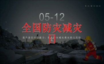 镇防灾减灾活动总结精选7篇