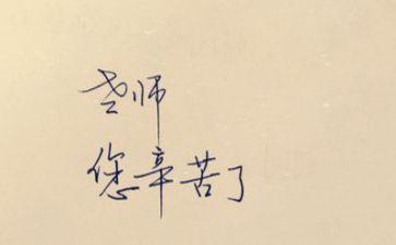 教师个人个人工作总结范文6篇