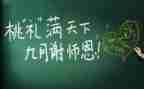 教教师个人工作总结参考8篇