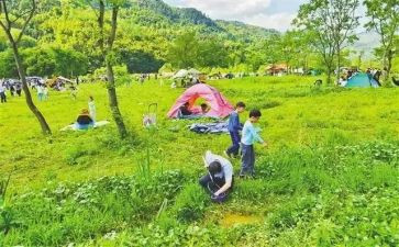 中班音乐课郊游教案8篇