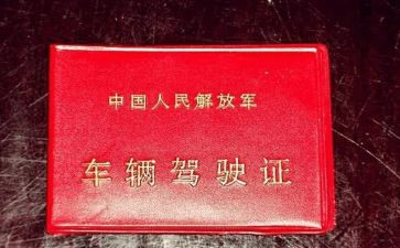 驾照的心得体会优质5篇