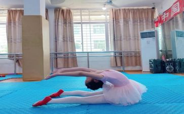 幼师基本工作总结8篇