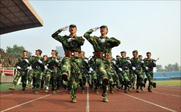 年终工作总结训练方面5篇