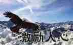 自我激励的演讲稿6篇