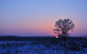 喜静的我作文模板7篇