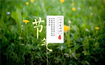 幼儿园节气活动方案8篇