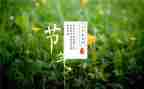幼儿园节气活动方案8篇