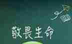 敬畏读后感7篇