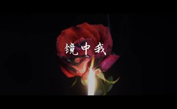 镜中的我作文最新7篇