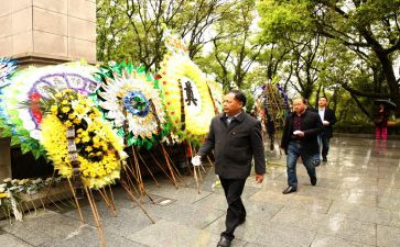 清明节烈士祭扫活动方案6篇