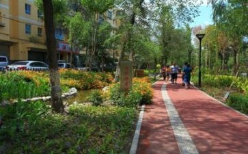 技术部述职报告最新6篇