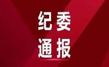 2023纪委个人工作总结5篇