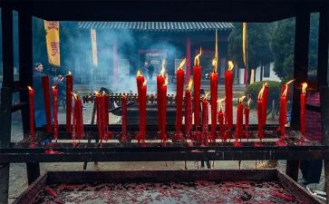 清明节祭祖讲话稿8篇
