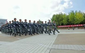 军训心得体会500字7篇