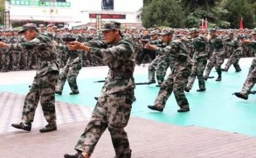 没军训写军训心得体会通用6篇