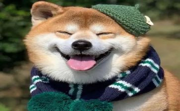 我开心的一天作文通用7篇