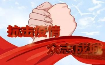 个人抗疫情工作总结5篇