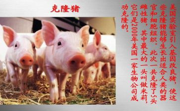 奇妙的克隆教案7篇