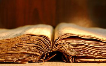 《桥》课文读后感通用5篇