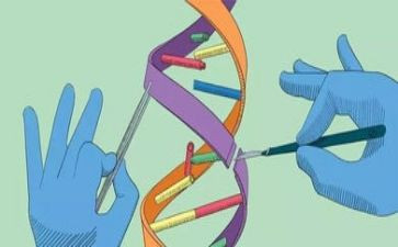 水中班科学活动教案8篇