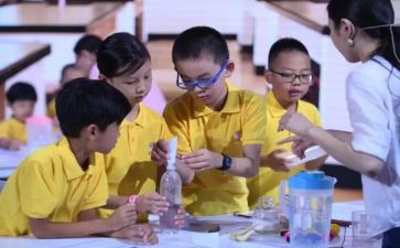 小学科学课心得6篇